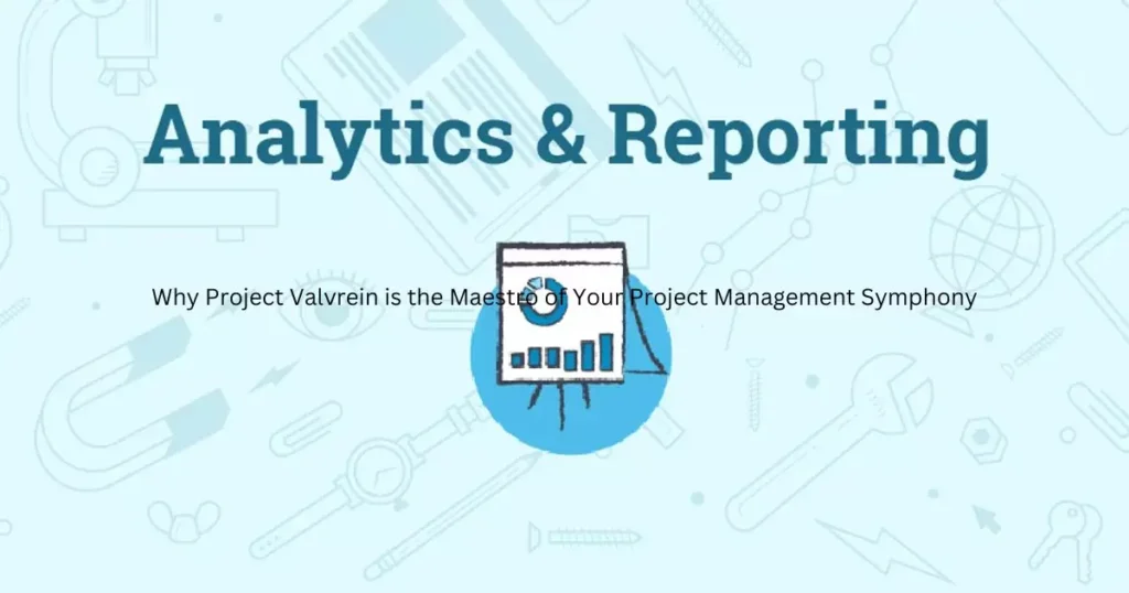 Reporting and Analytics in Project Valvrein