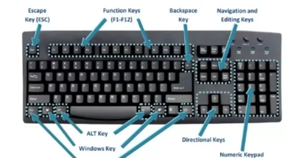 Key Components of CÑIMS