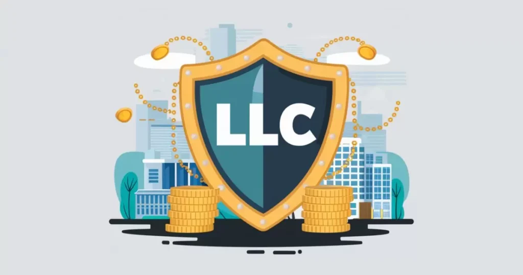 What is an LLC?