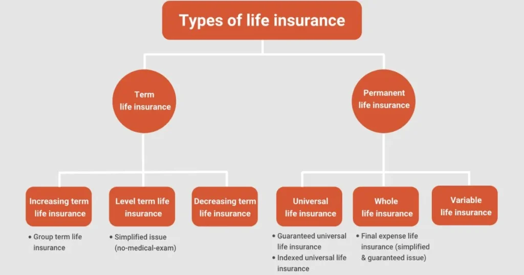 Types of Insurance